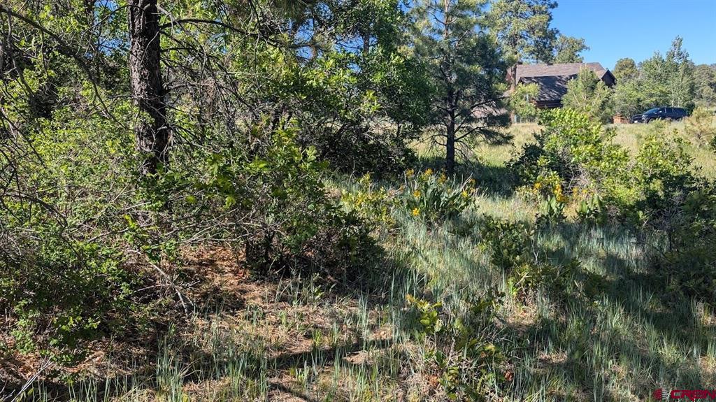 184 Clint Circle Pagosa Springs CO 81147