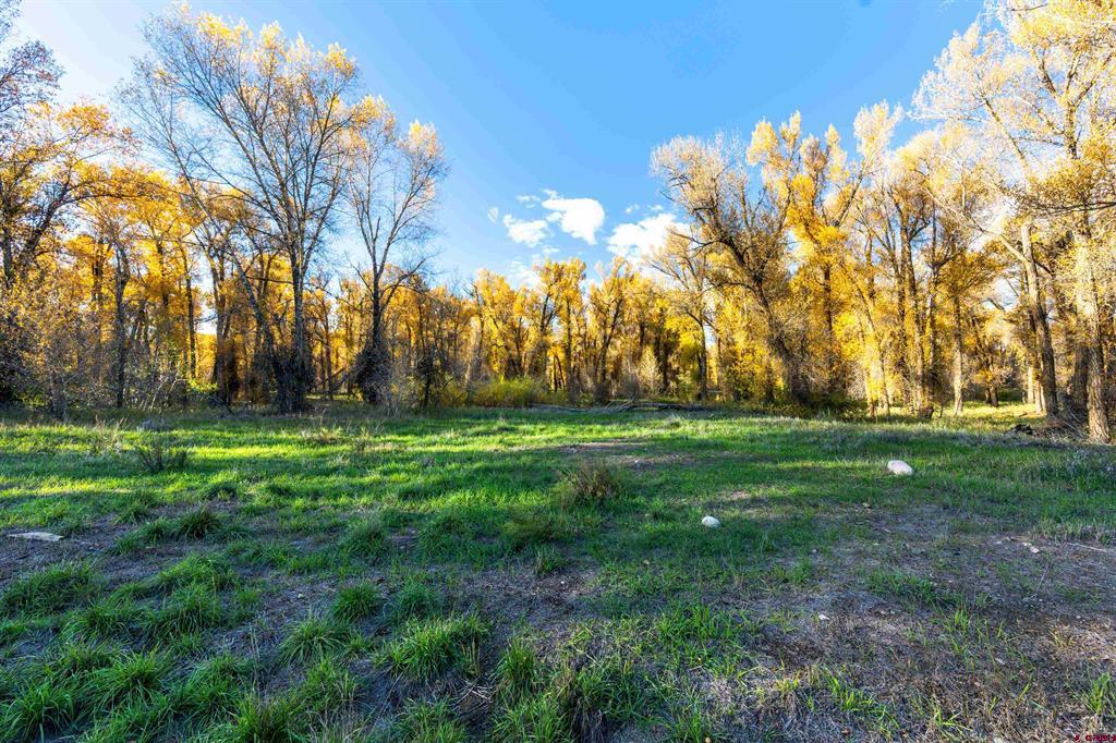 255 Riverwalk Drive Gunnison CO 81230