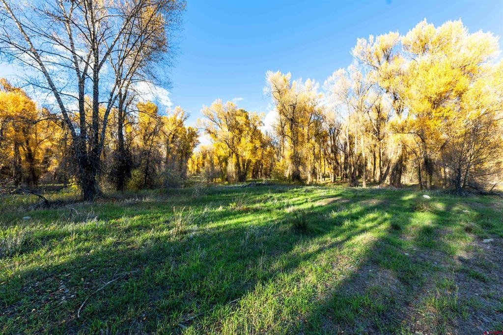 255 Riverwalk Drive Gunnison CO 81230
