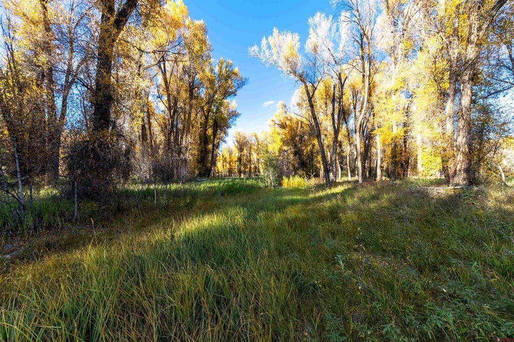 255 Riverwalk Drive Gunnison CO 81230