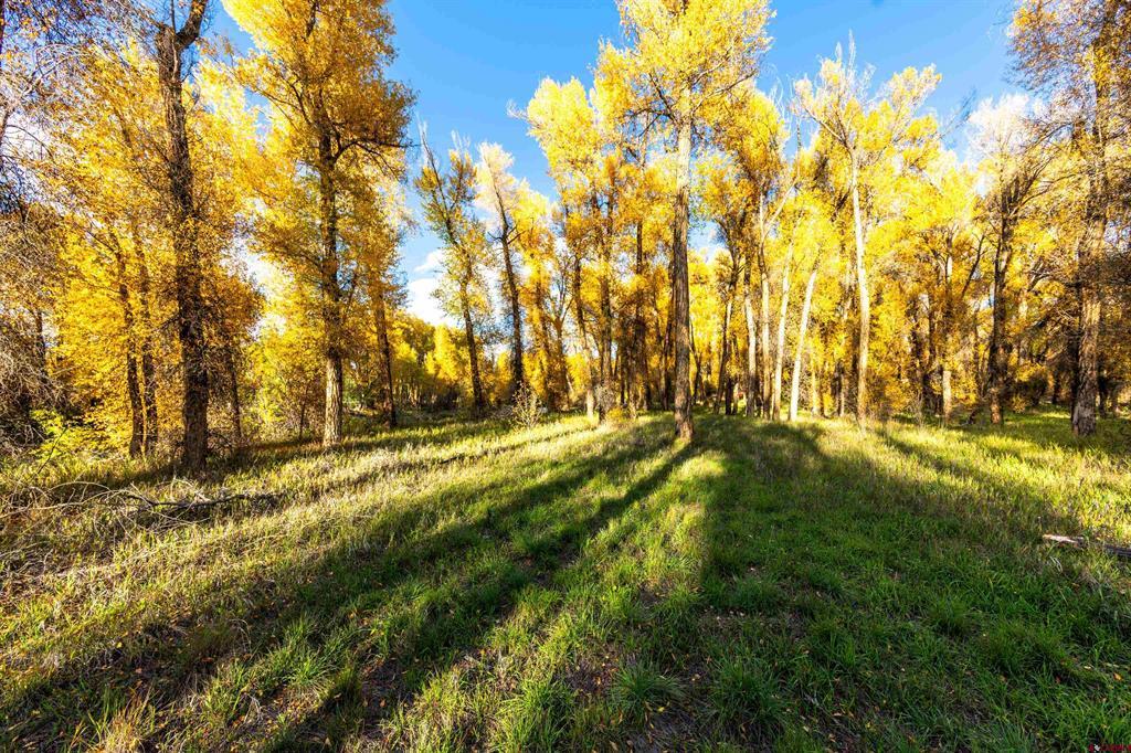 255 Riverwalk Drive Gunnison CO 81230