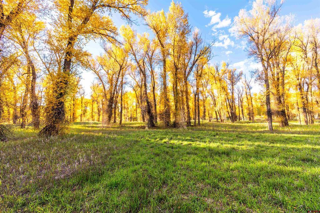 255 Riverwalk Drive Gunnison CO 81230