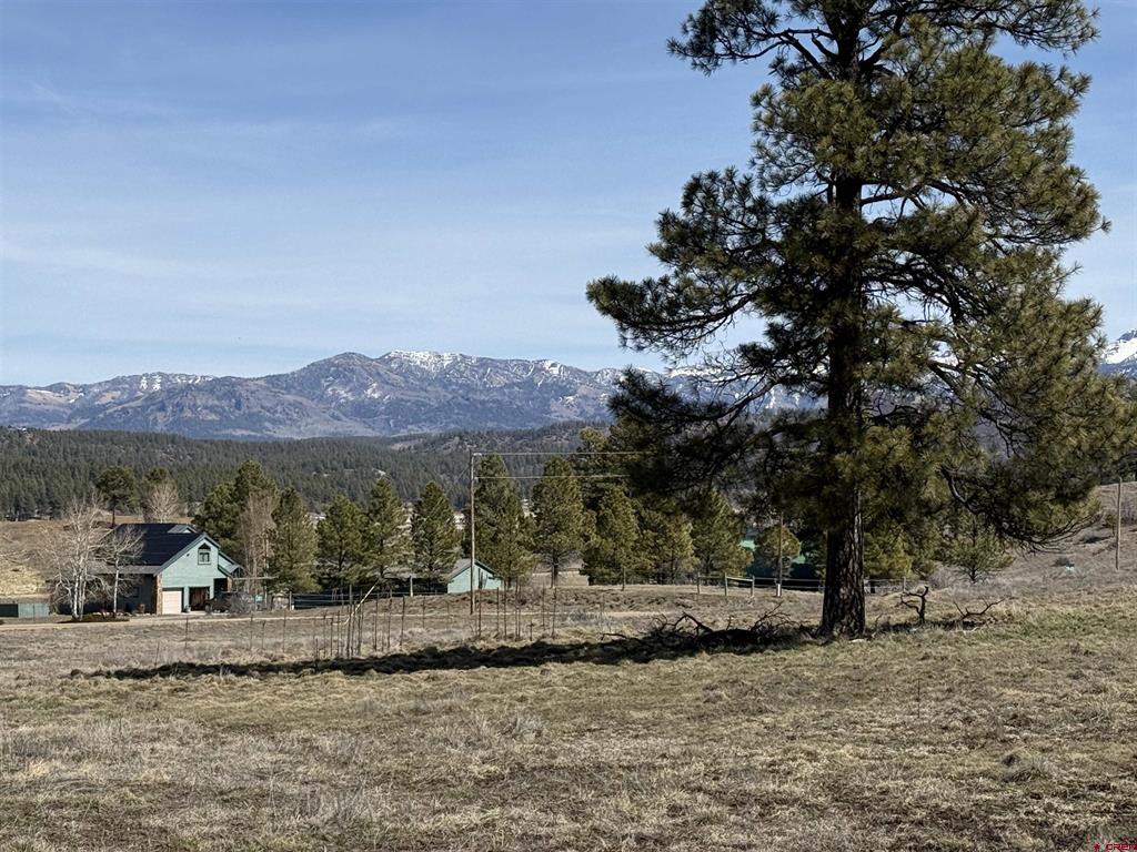 388 Echo Drive Pagosa Springs CO 81147