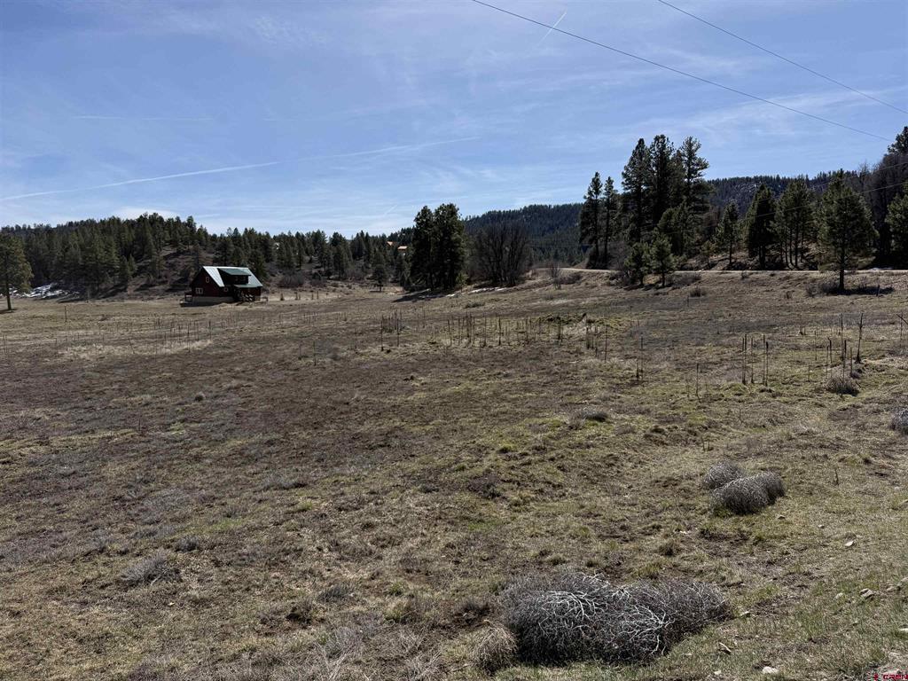 388 Echo Drive Pagosa Springs CO 81147