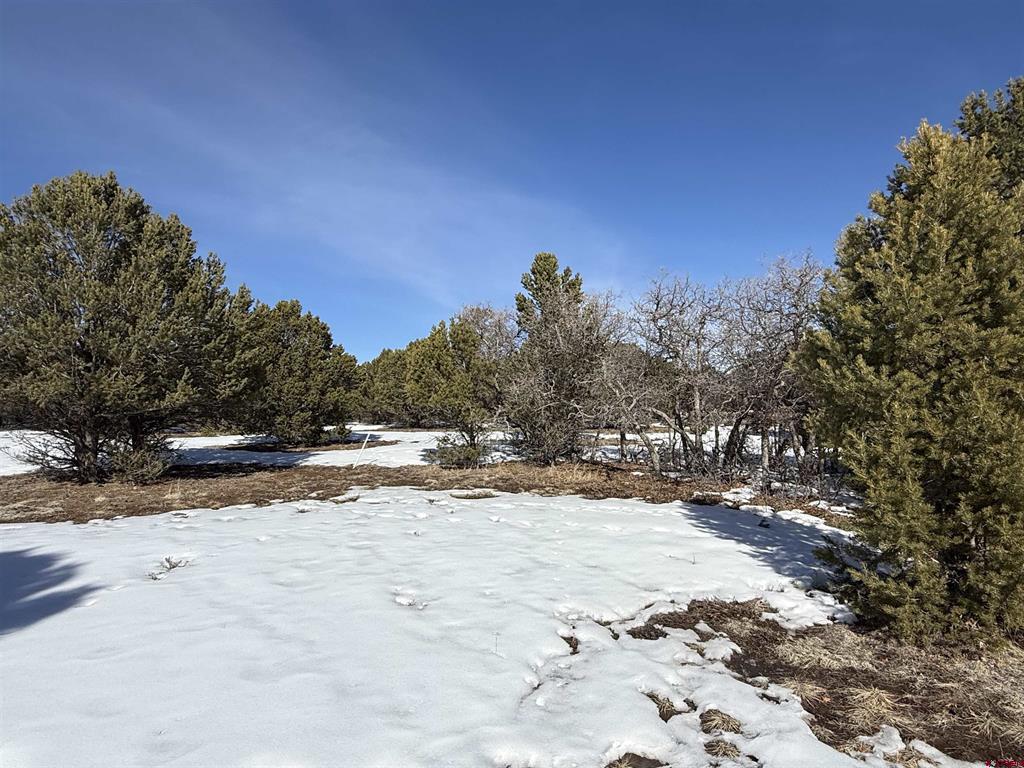 Tbd Lot 2 Cottontail Lane Ridgway CO 81432