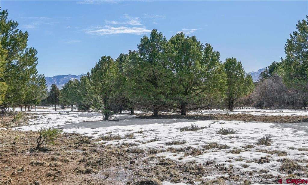 Tbd Lot 2 Cottontail Lane Ridgway CO 81432