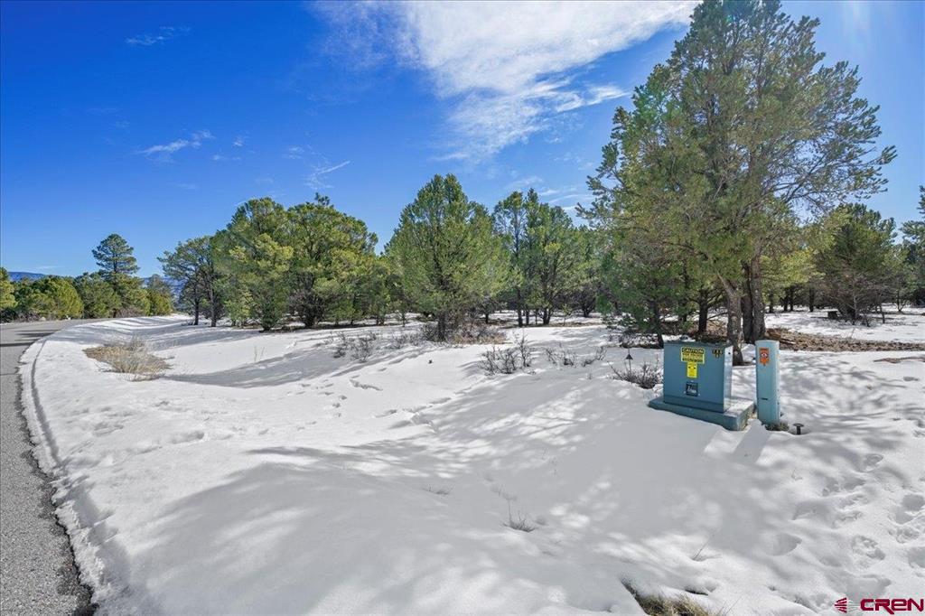 Tbd Lot 2 Cottontail Lane Ridgway CO 81432