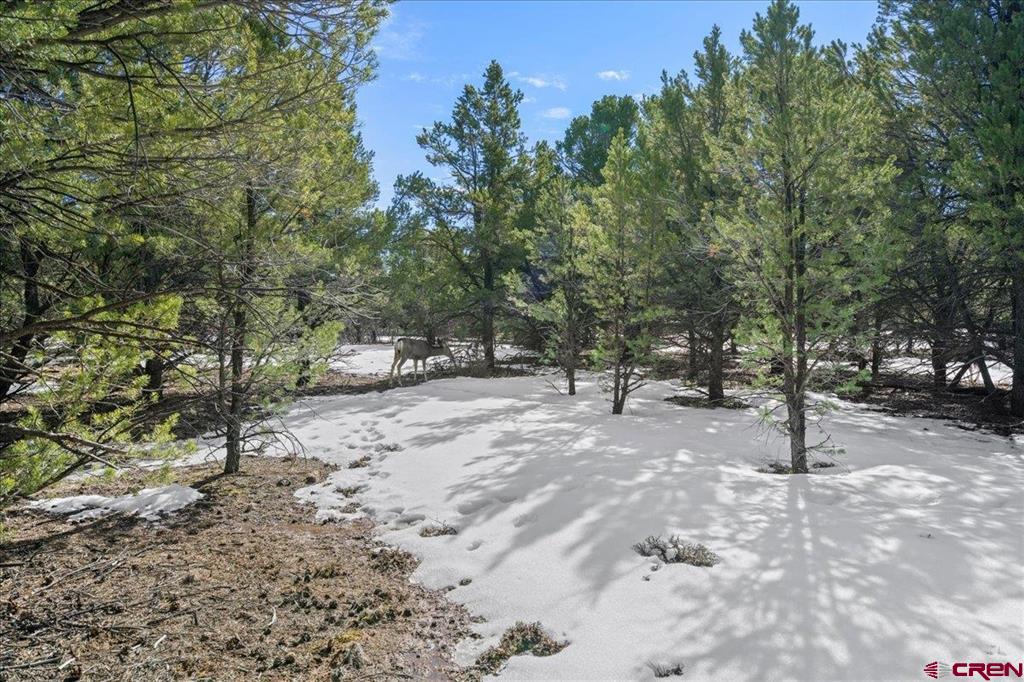 Tbd Lot 2 Cottontail Lane Ridgway CO 81432