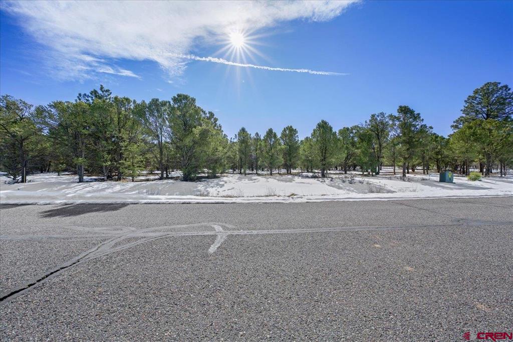 Tbd Lot 2 Cottontail Lane Ridgway CO 81432
