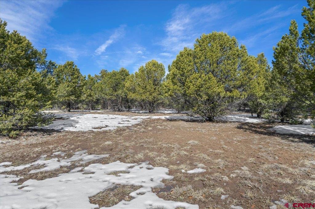 Tbd Lot 2 Cottontail Lane Ridgway CO 81432