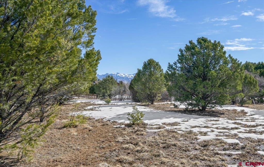 Tbd Lot 2 Cottontail Lane Ridgway CO 81432