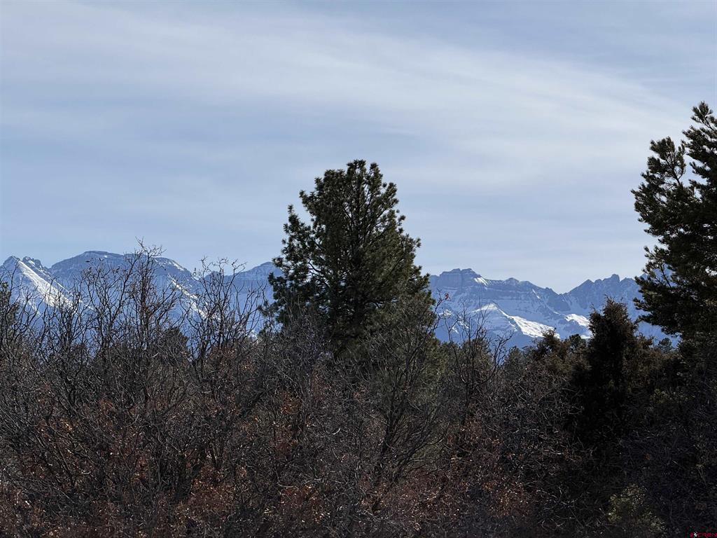 Tbd Lot 2 Cottontail Lane Ridgway CO 81432