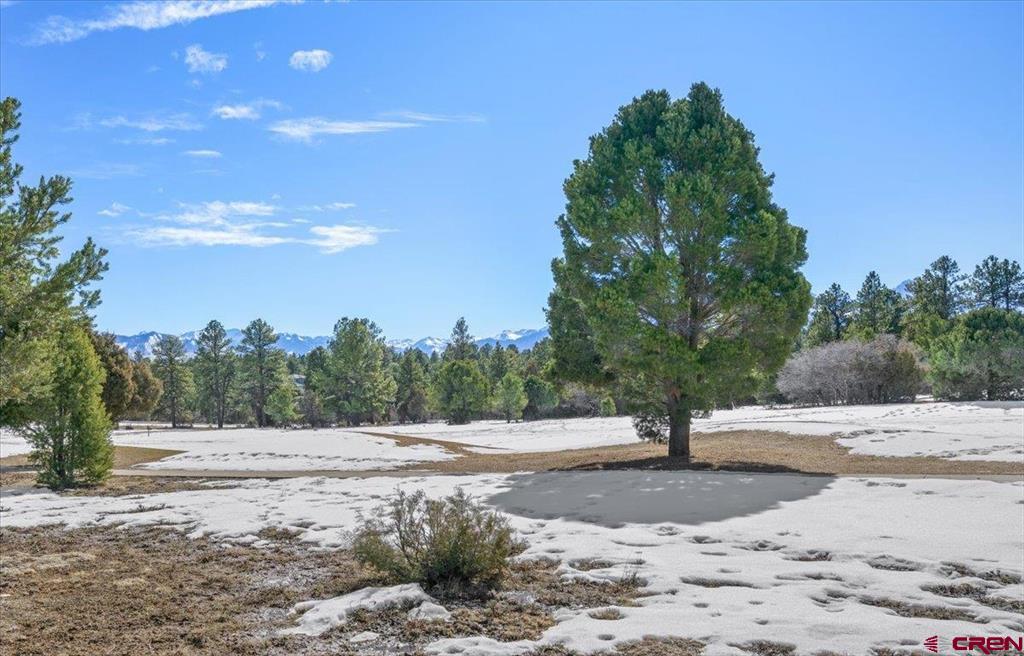 Tbd Lot 2 Cottontail Lane Ridgway CO 81432