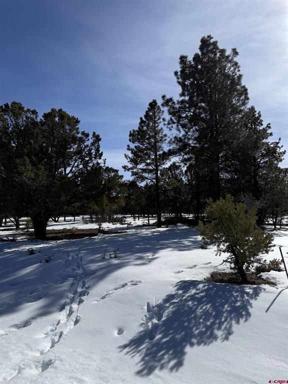 Tbd Lot 2 Cottontail Lane Ridgway CO 81432