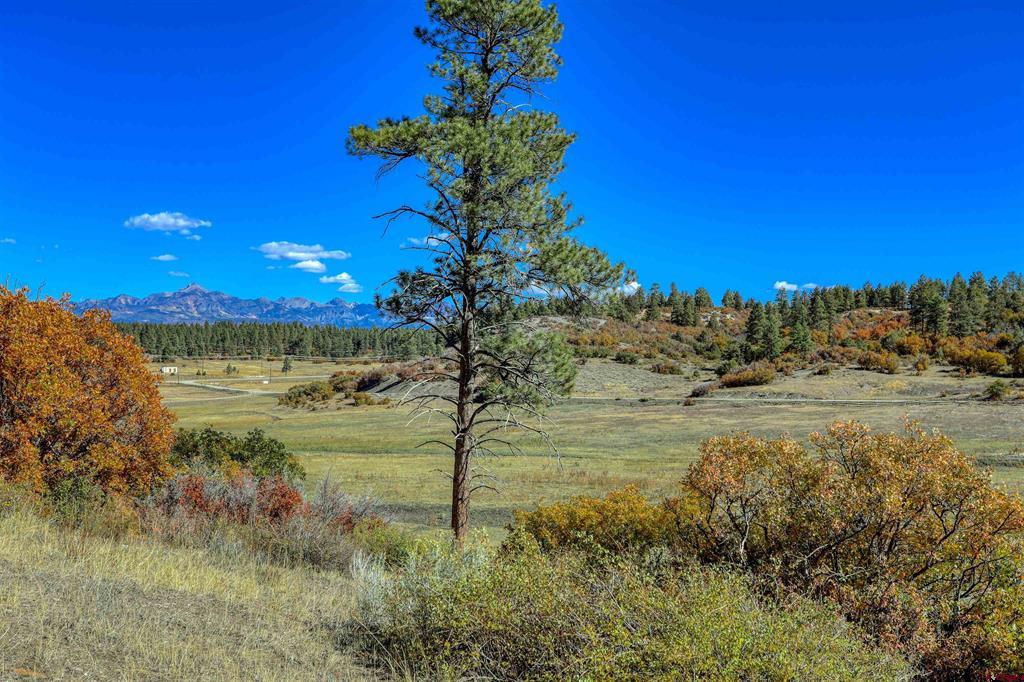 73 & 7110h Parelli Institute Dr. W Us Highway 160 Pagosa Springs CO 81147