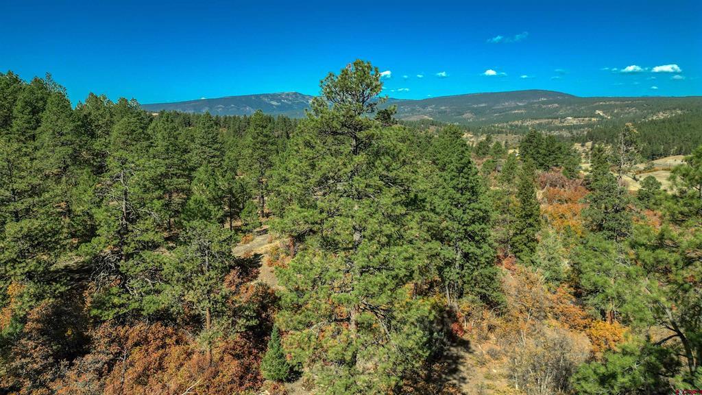 73 & 7110h Parelli Institute Dr. W Us Highway 160 Pagosa Springs CO 81147
