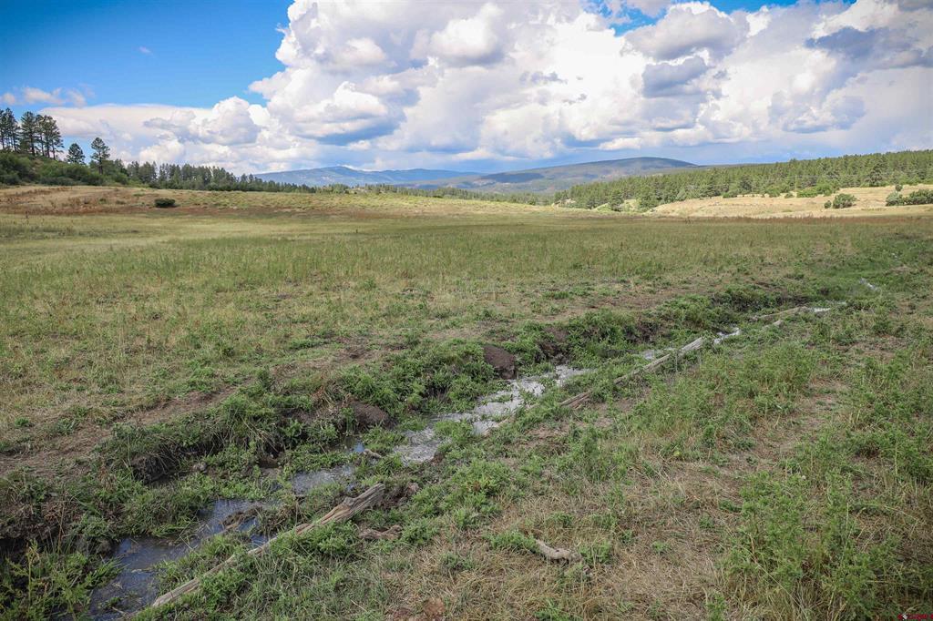 73 & 7110h Parelli Institute Dr. W Us Highway 160 Pagosa Springs CO 81147