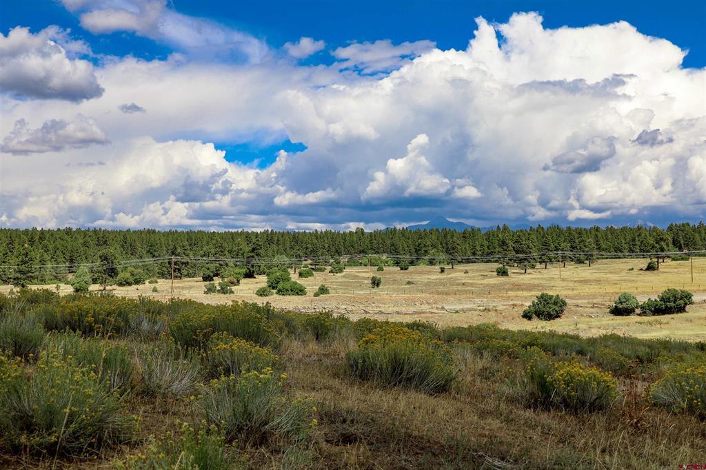 73 & 7110h Parelli Institute Dr. W Us Highway 160 Pagosa Springs CO 81147