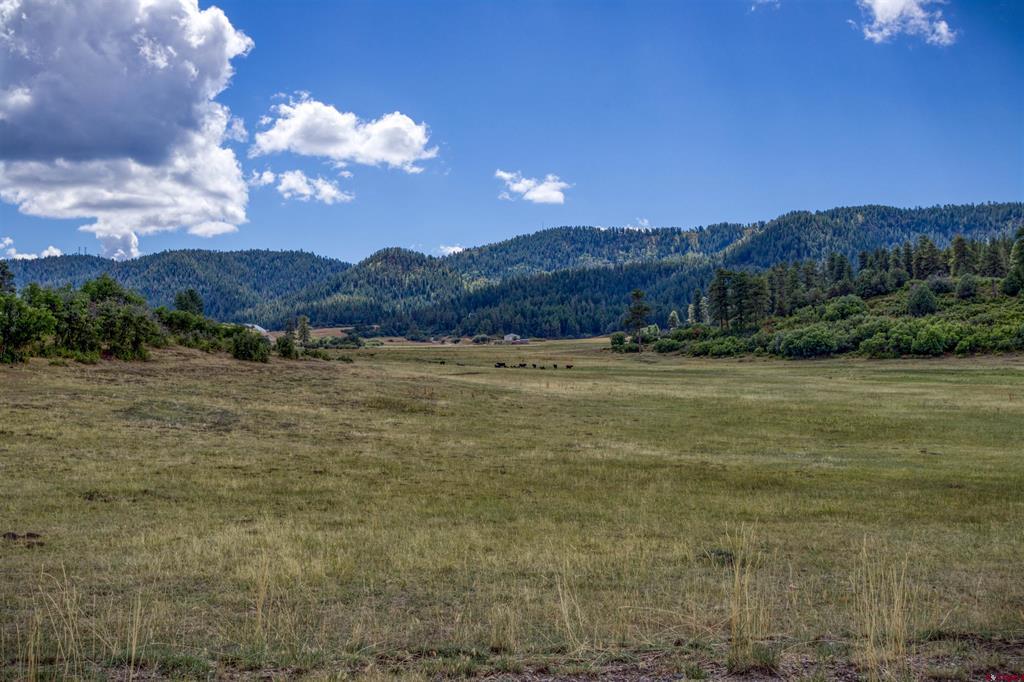 73 & 7110h Parelli Institute Dr. W Us Highway 160 Pagosa Springs CO 81147