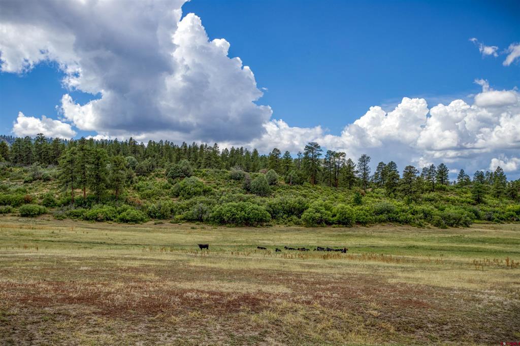 73 & 7110h Parelli Institute Dr. W Us Highway 160 Pagosa Springs CO 81147
