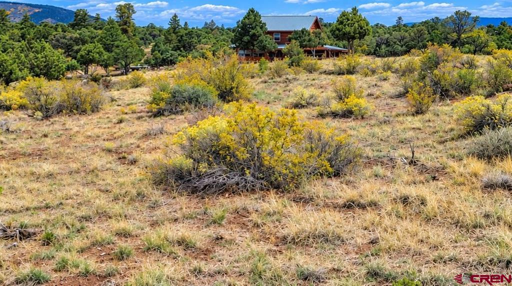 463 Wildhorse Trail South Fork CO 81154