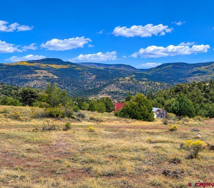 463 Wildhorse Trail South Fork CO 81154