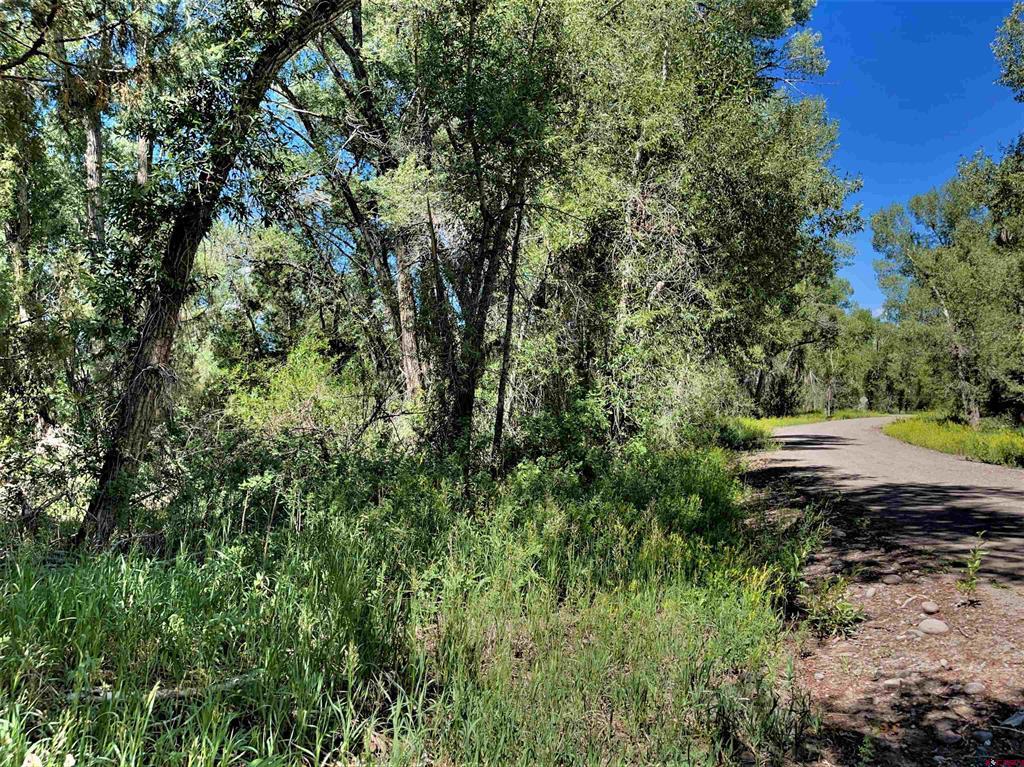 128, 136, 150 Ute Trail South Fork CO 81154