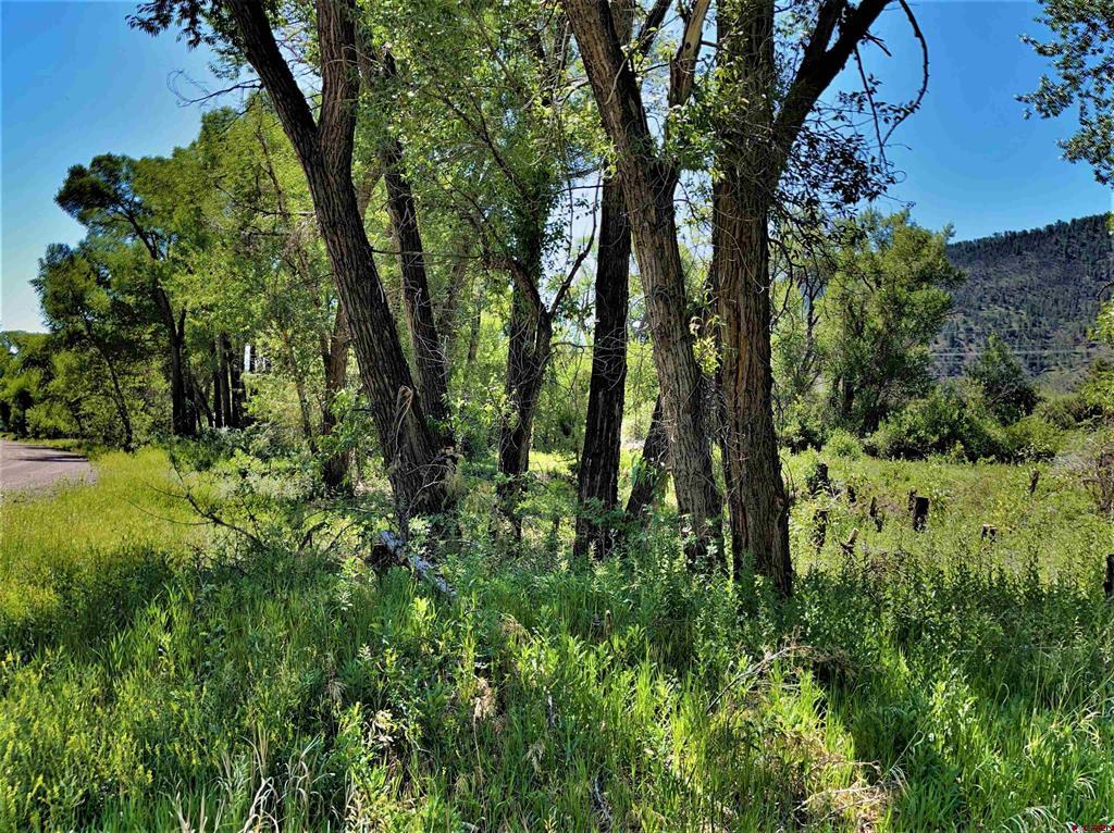 128, 136, 150 Ute Trail South Fork CO 81154