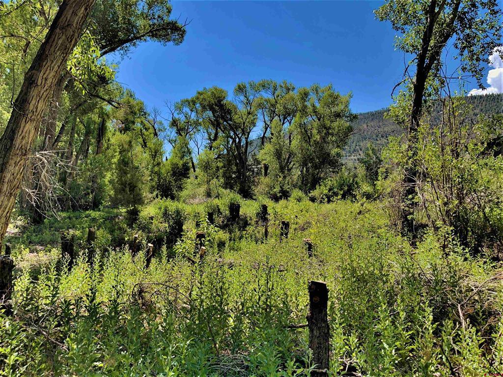 128, 136, 150 Ute Trail South Fork CO 81154