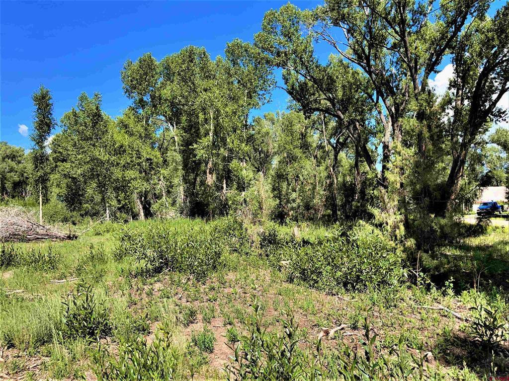 128, 136, 150 Ute Trail South Fork CO 81154