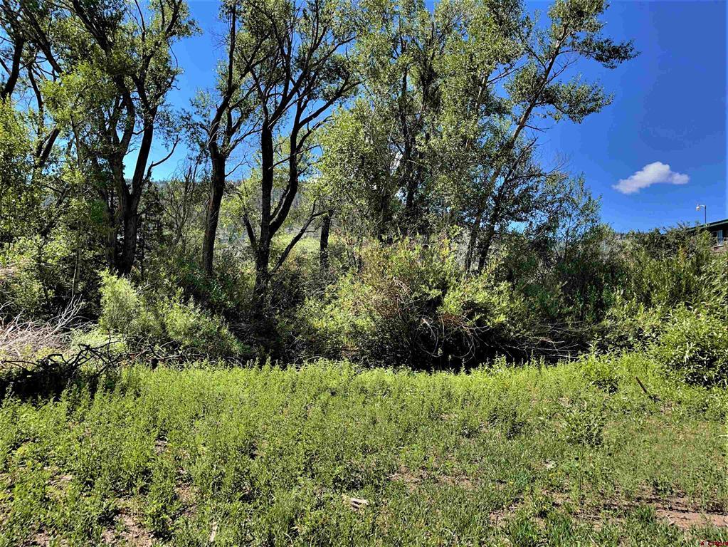 128, 136, 150 Ute Trail South Fork CO 81154