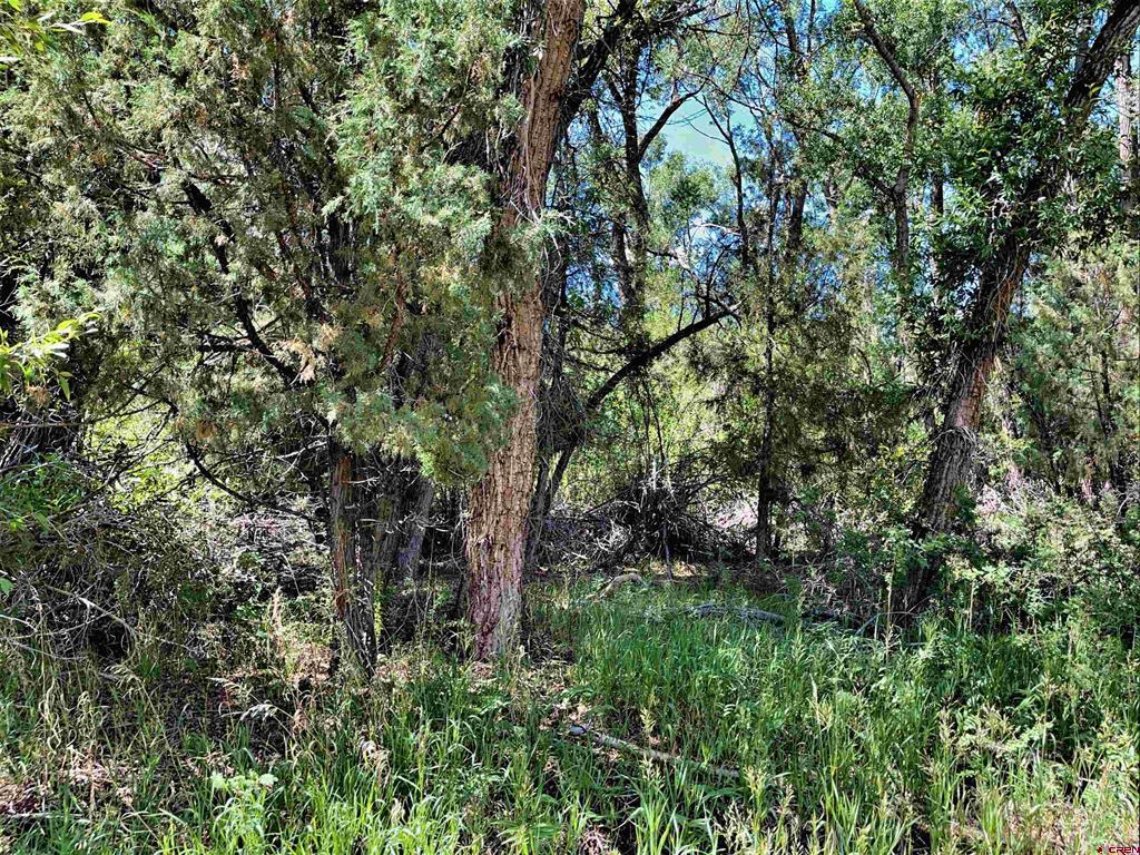 128, 136, 150 Ute Trail South Fork CO 81154