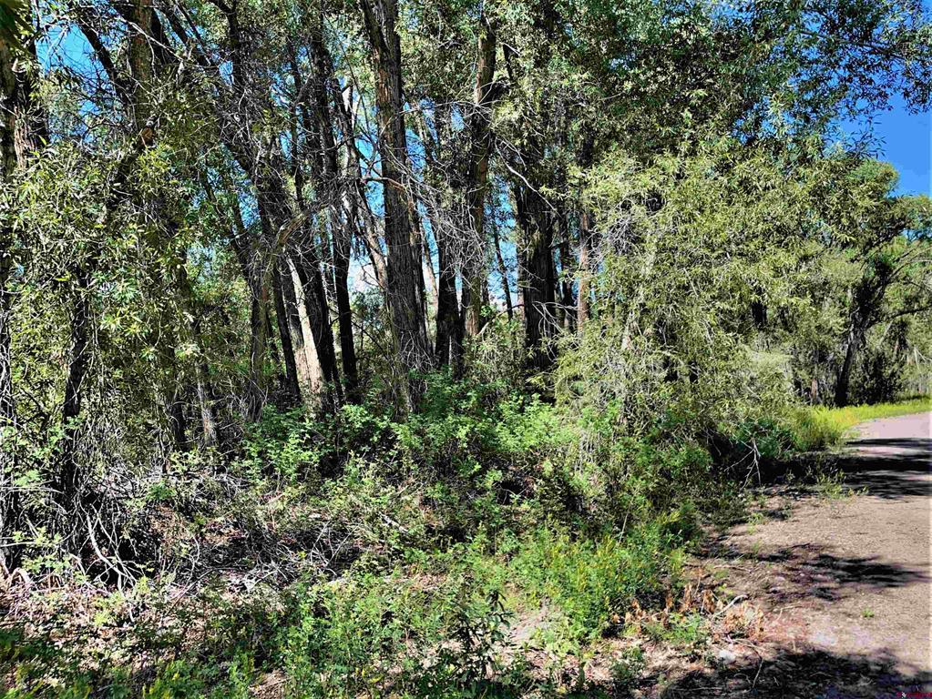 128, 136, 150 Ute Trail South Fork CO 81154