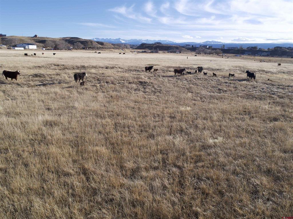 Tract A E Oak Grove Road Montrose CO 81401