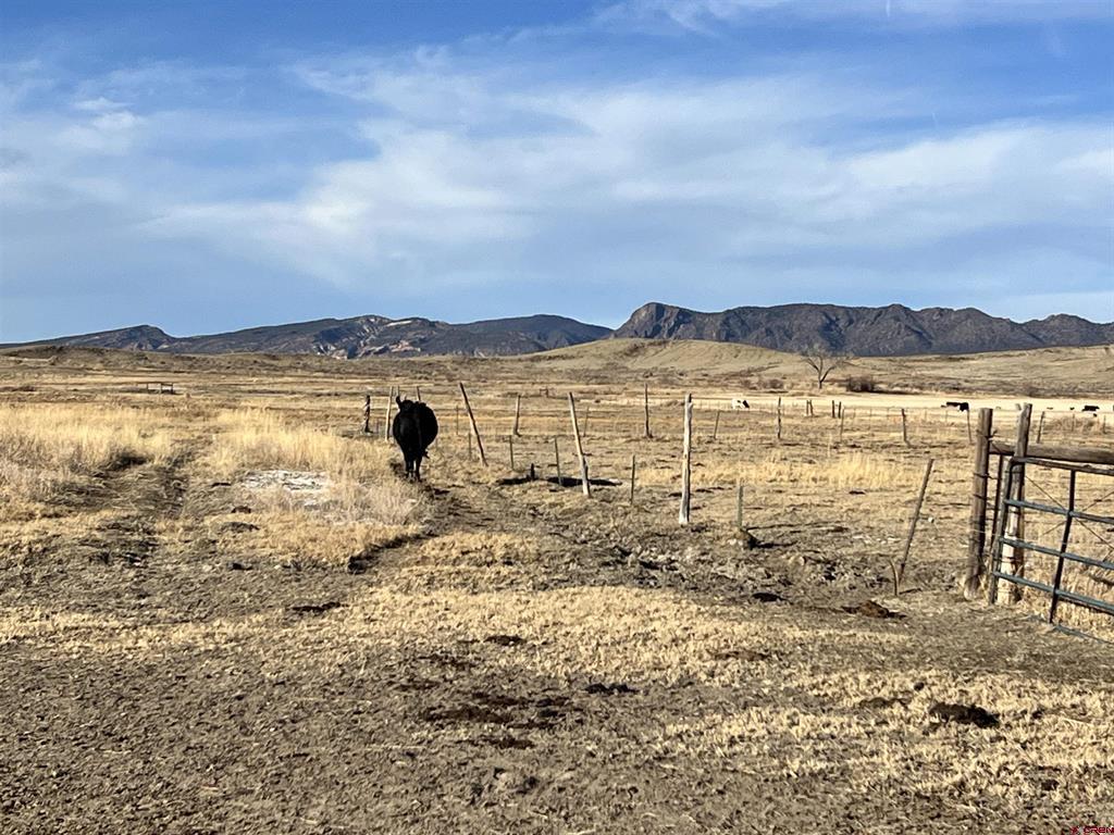 Tract A E Oak Grove Road Montrose CO 81401