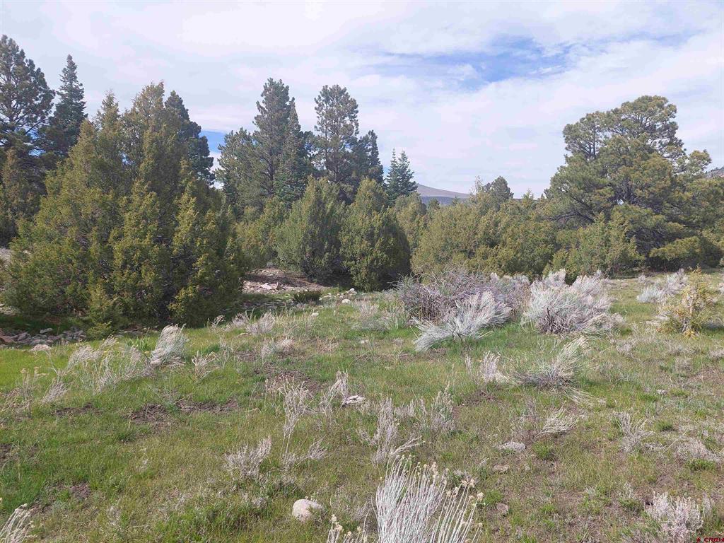 01195 Rito Hondo Road Antonito CO 81120