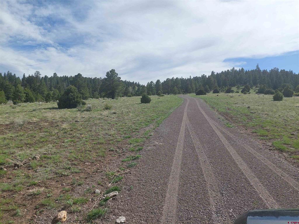 01195 Rito Hondo Road Antonito CO 81120