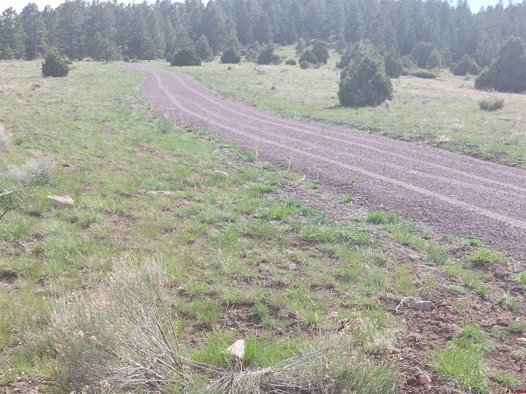 01195 Rito Hondo Road Antonito CO 81120