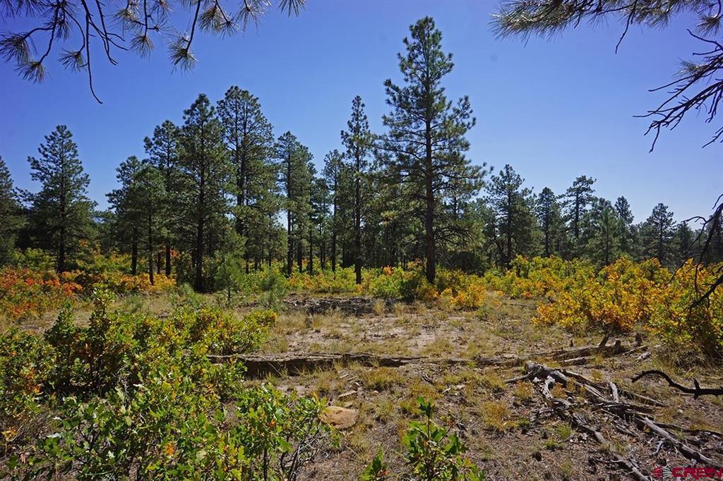 5 Road T.7 Mancos CO 81328