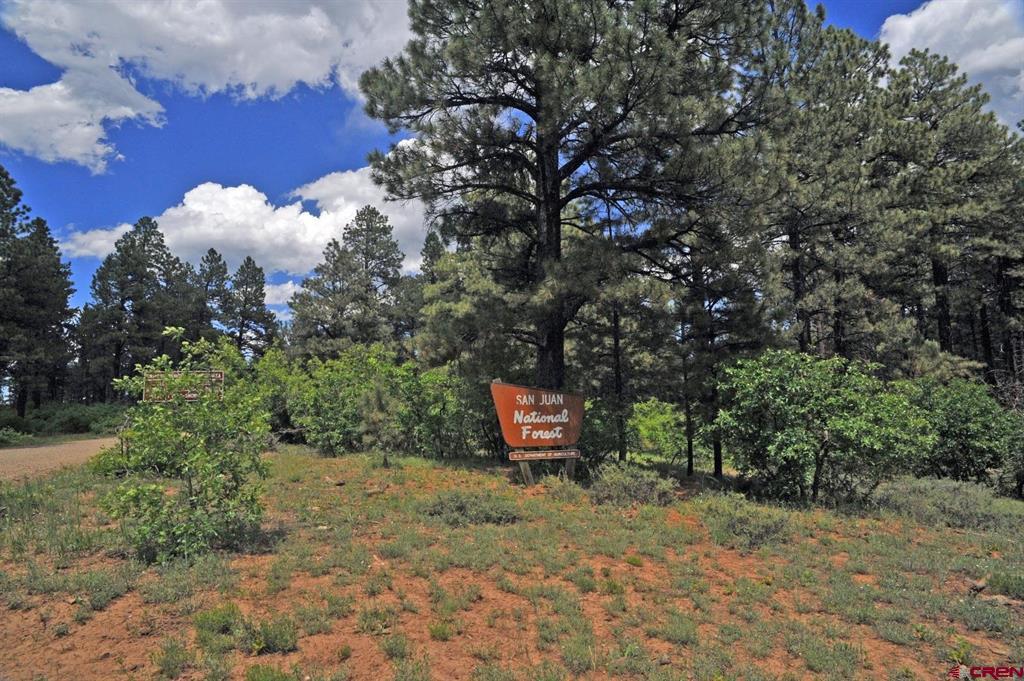 5 Road T.7 Mancos CO 81328