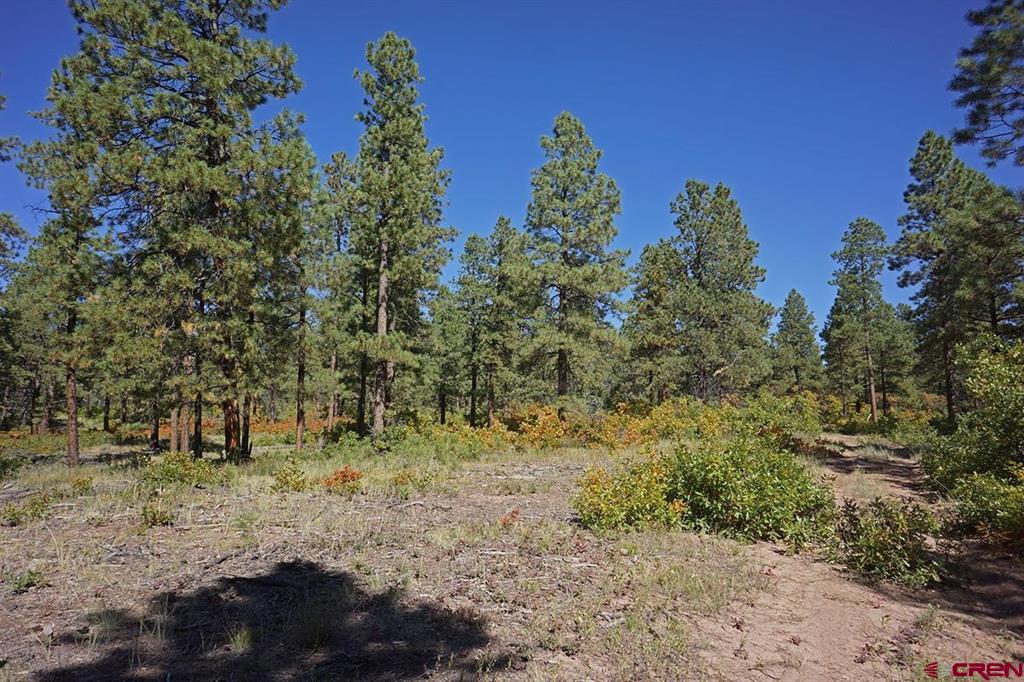 5 Road T.7 Mancos CO 81328
