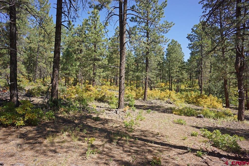 5 Road T.7 Mancos CO 81328