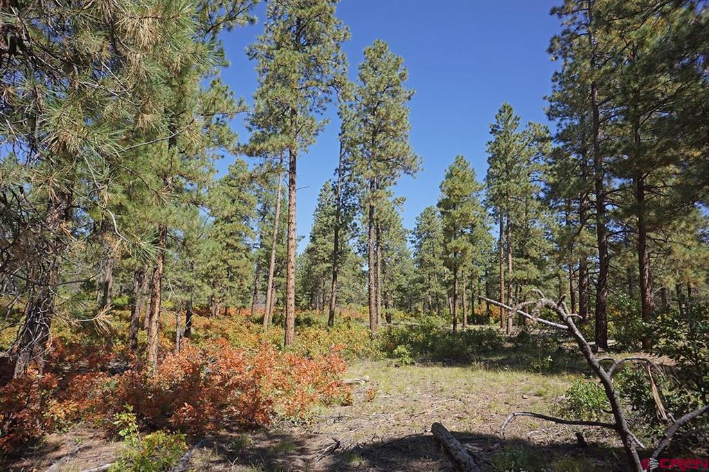 5 Road T.7 Mancos CO 81328