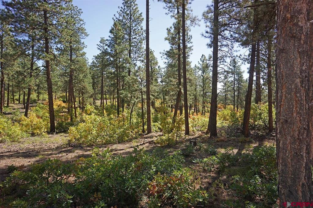 5 Road T.7 Mancos CO 81328