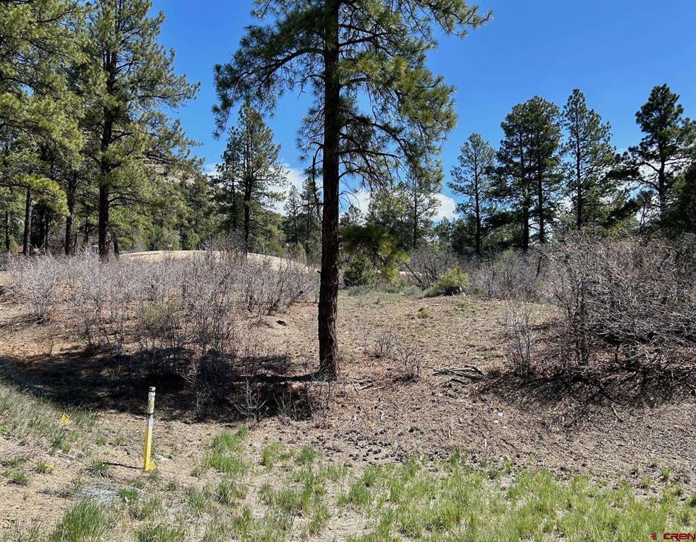 24 Bell Flower Court Durango CO 81301
