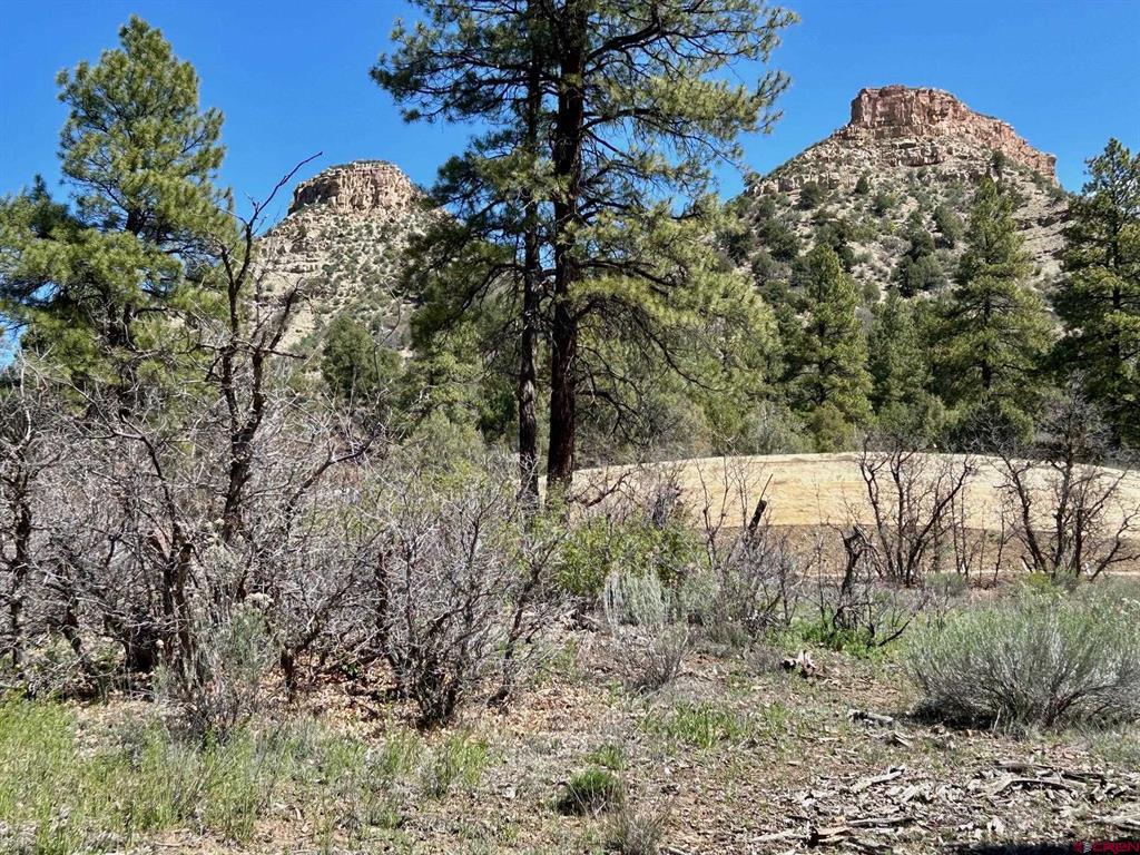 24 Bell Flower Court Durango CO 81301