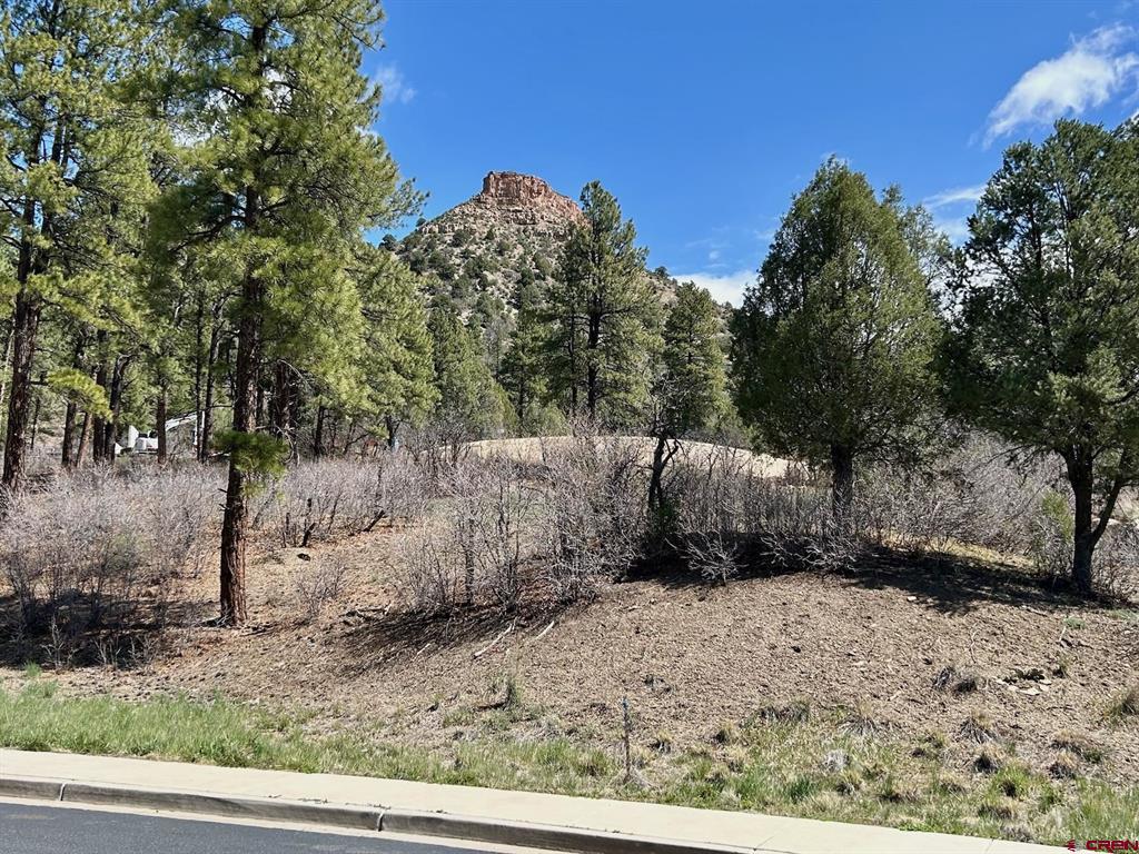 24 Bell Flower Court Durango CO 81301