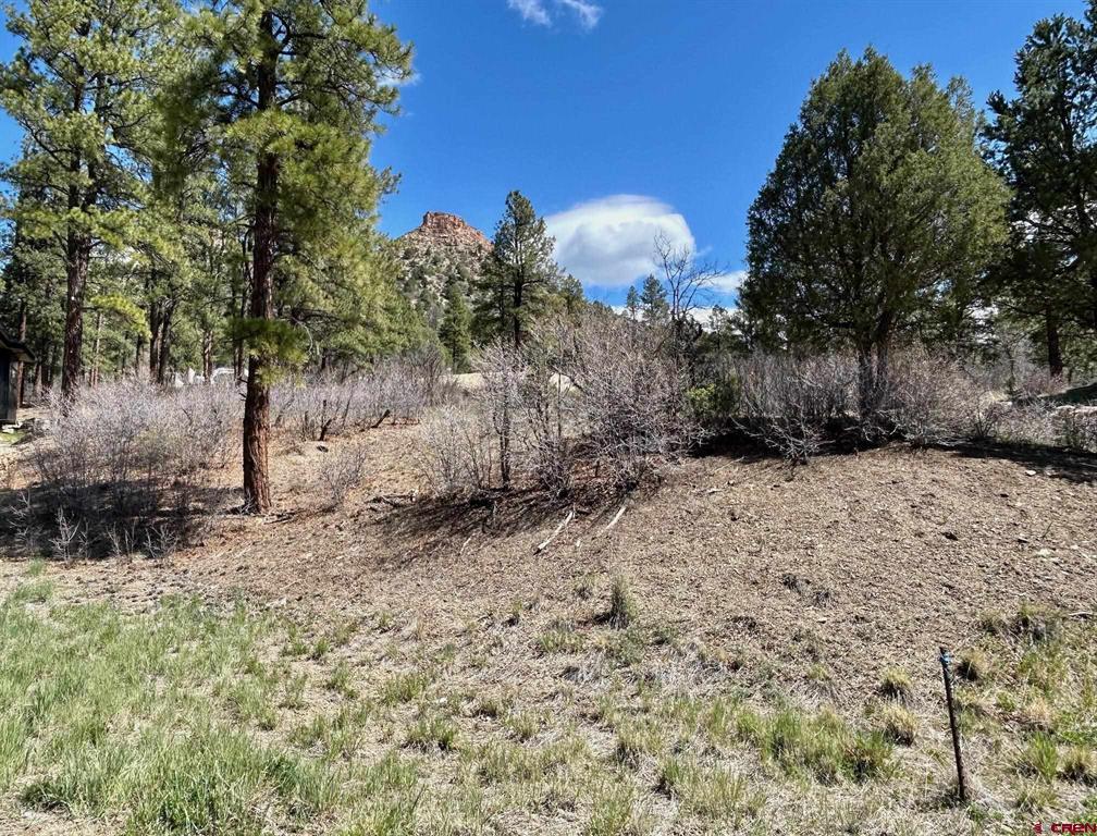 24 Bell Flower Court Durango CO 81301