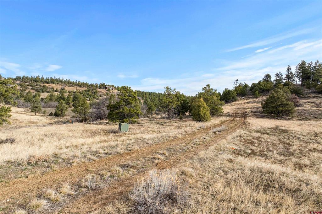 717 Zane Drive Durango CO 81303