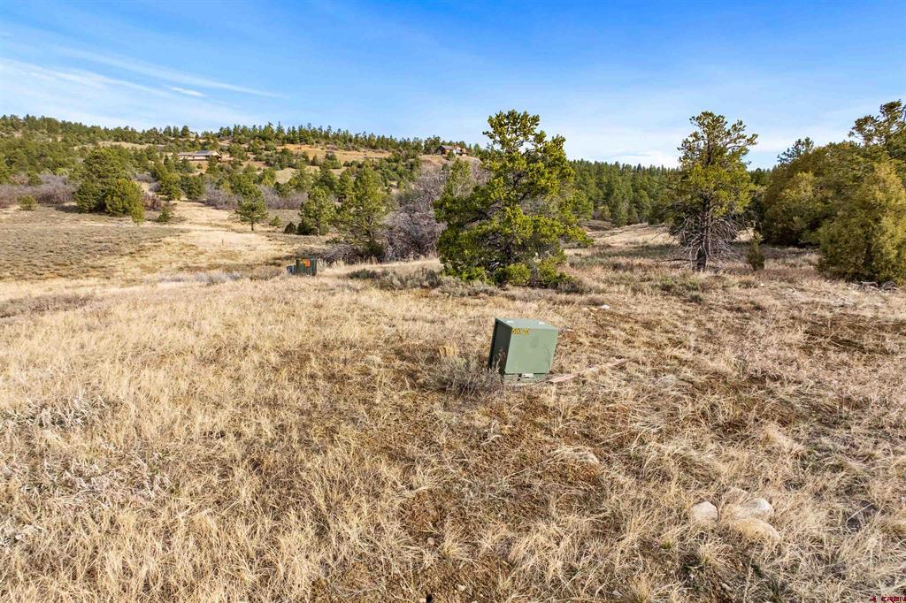 717 Zane Drive Durango CO 81303